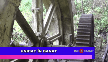 Unicat în Banat
