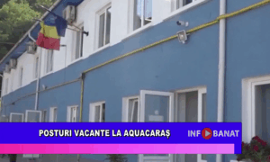 Posturi vacante la AquaCaraș