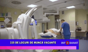 335 de locuri de muncă vacante