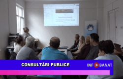 Consultări publice
