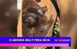 O amendă mult prea mică