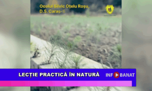 Lecție practică în natură