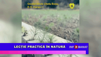 Lecție practică în natură