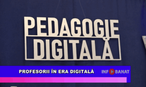 Profesorii în era digitală