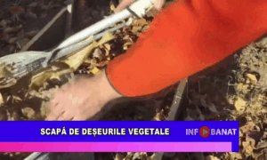 Scapă de deșeurile vegetale