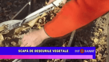 Scapă de deșeurile vegetale