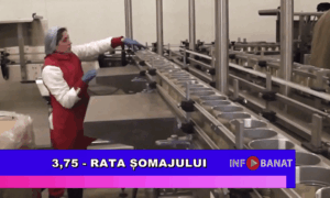 3,75  – rata șomajului