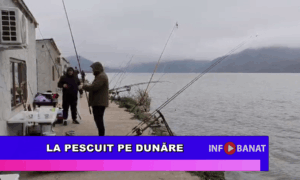 La pescuit pe Dunăre