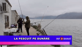 La pescuit pe Dunăre