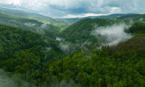 Puterea apei în Banatul Montan