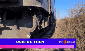 Ucis de tren