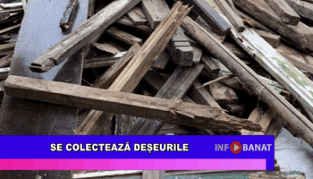 Se colectează deșeurile
