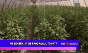 Au beneficiat de programul Tomata