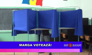 Marga votează!