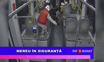 Mereu în siguranță