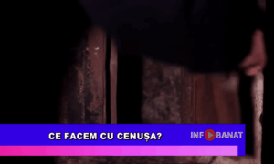 Ce facem cu cenușa?