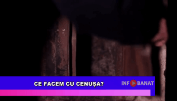 Ce facem cu cenușa?