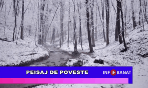 Peisaj de poveste