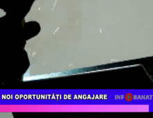 Noi oportunități de angajare