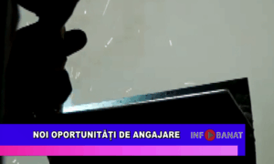 Noi oportunități de angajare