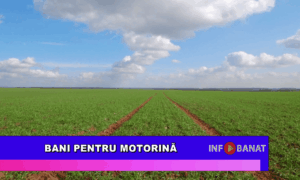 Bani pentru motorină