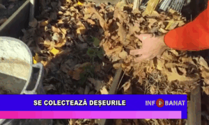 Se colectează deșeurile