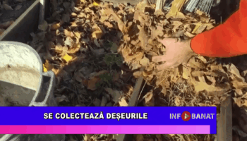 Se colectează deșeurile