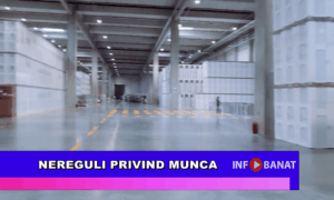 Nereguli privind munca