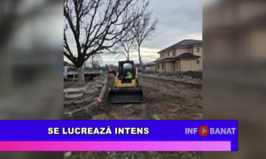 Se lucrează intens