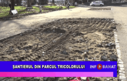 Șantierul din Parcul Tricolorului