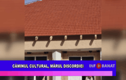 Căminul cultural, mărul discordiei