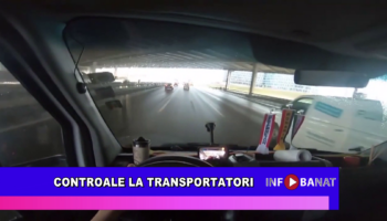 Controale la transportatori
