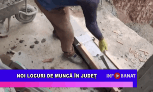 Noi locuri de muncă în județ