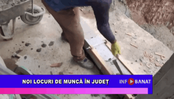 Noi locuri de muncă în județ