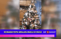Recomandări pentru amenajarea bradului de crăciun
