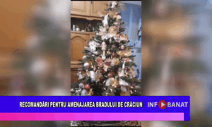 Recomandări pentru amenajarea bradului de crăciun