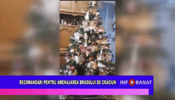 Recomandări pentru amenajarea bradului de crăciun