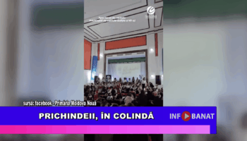 Prichindeii, în colindă