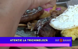 Atenție la trichineloză