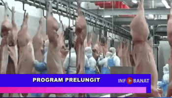 Program prelungit
