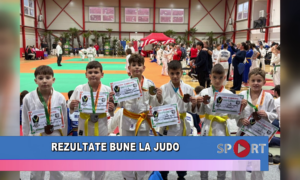 Rezultate bune la judo