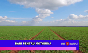 Bani pentru motorină