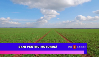 Bani pentru motorină