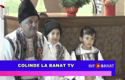 Colinde la Banat TV