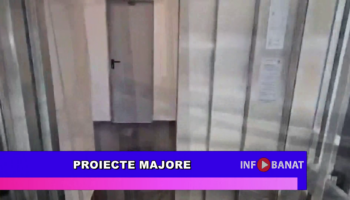 Proiecte majore
