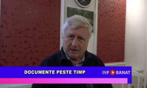 Documente peste timp