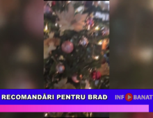 Recomandări pentru Brad