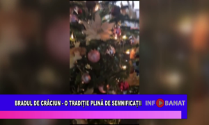 Bradul de Crăciun – o tradiție plină de seminificații