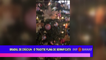 Bradul de Crăciun – o tradiție plină de seminificații