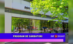Program de sărbători
